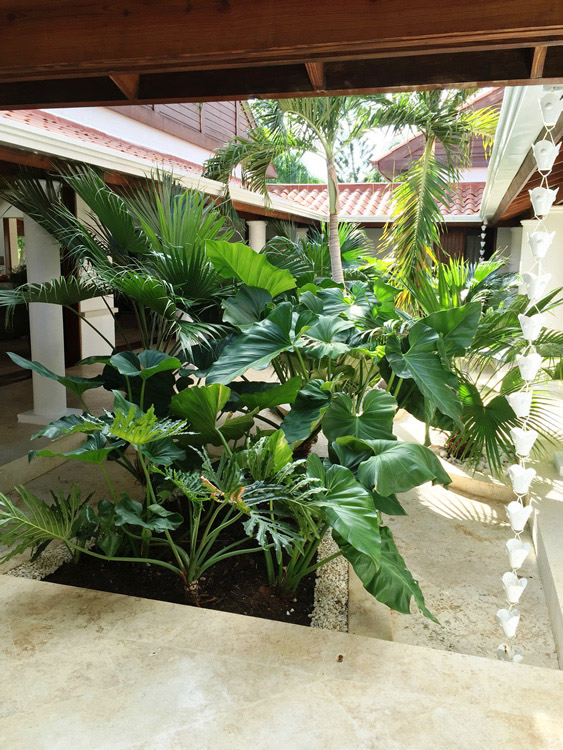 %_tempFileNamePatio%