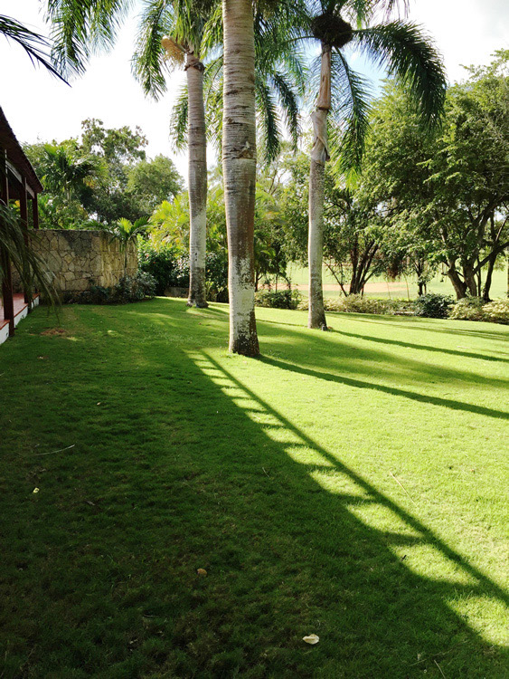 %_tempFileNameTerrace%203%20rear%20garden%20a%